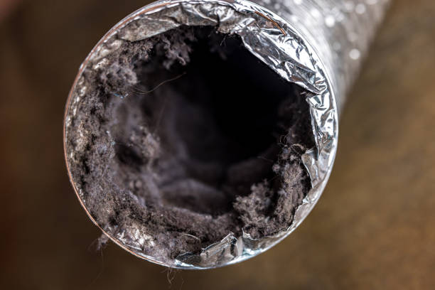 Best Affordable Duct Cleaning Services  in Clarks Summit, PA